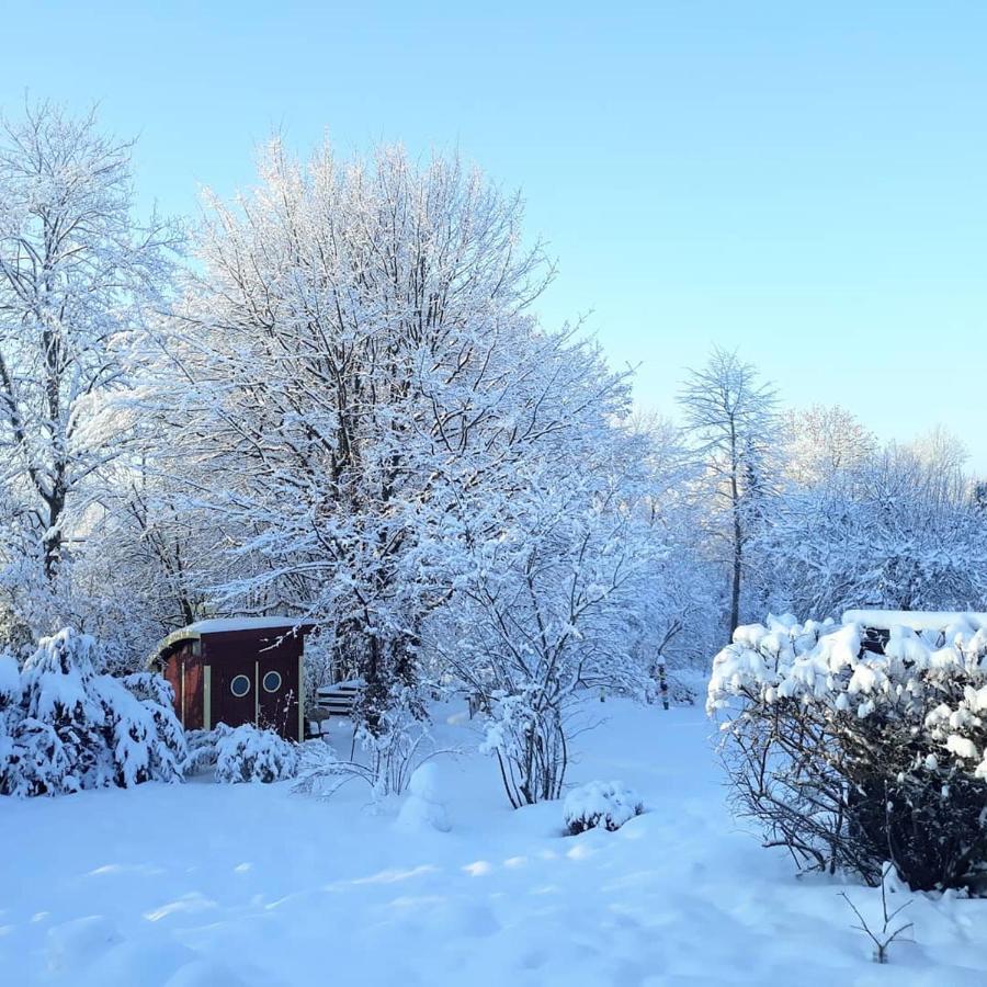 #staywild29 - Gemütliche Ferienwohnung im Allgäu Kempten Exterior foto